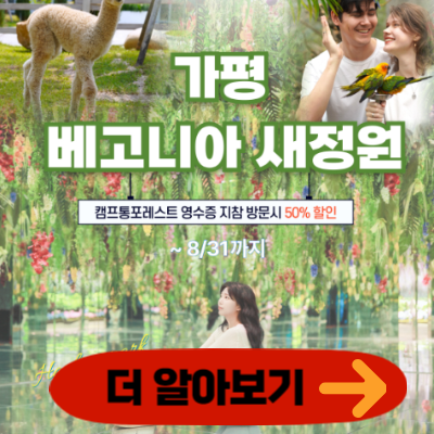 가평 베고니아새정원x캠프통 포레스트 이벤트, 예약 요금