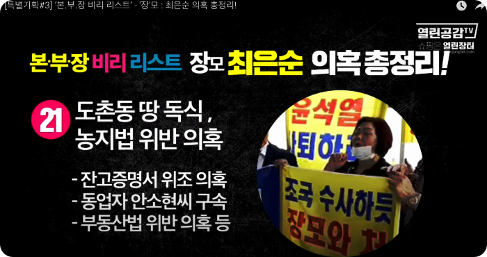 김건희 윤석열 최은순 장모 의혹 리스트