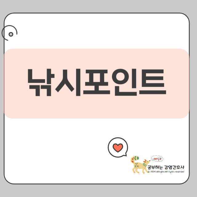 1월부터 12월까지! 바다낚시 월별 어종 추천 &amp; 공략법(초보가능)