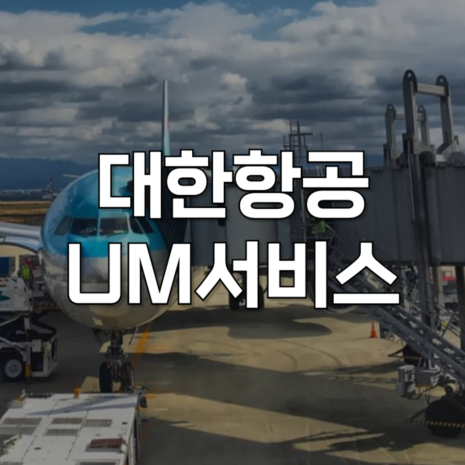 대한항공 UM서비스 완벽 가이드: 아이 혼자 비행기 탈 때 꼭 알아야 할 것들