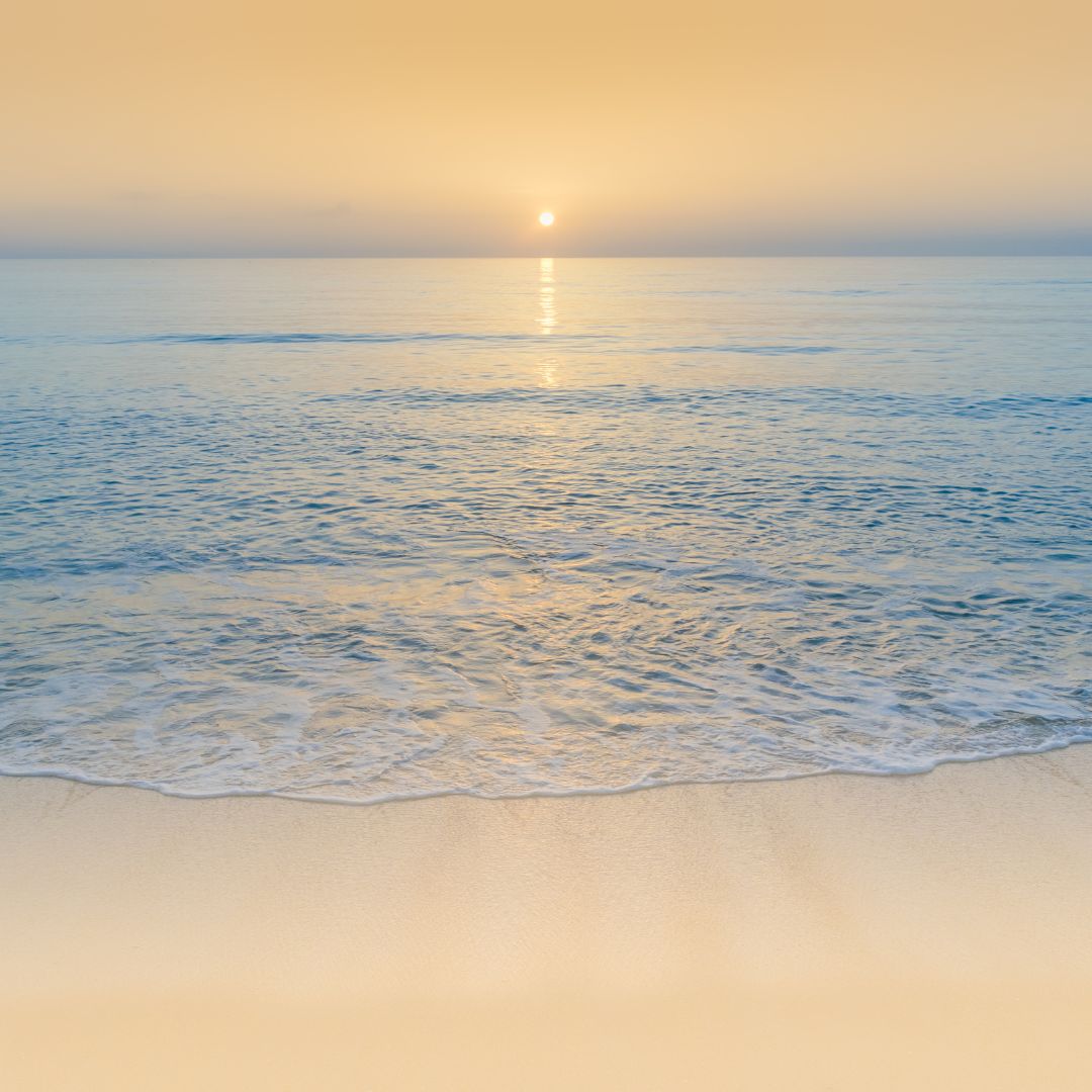 광주/5&bull;18/민주화운동기록관