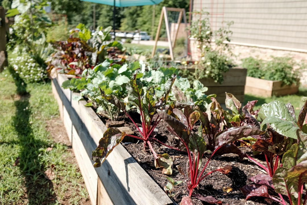 Gardening
