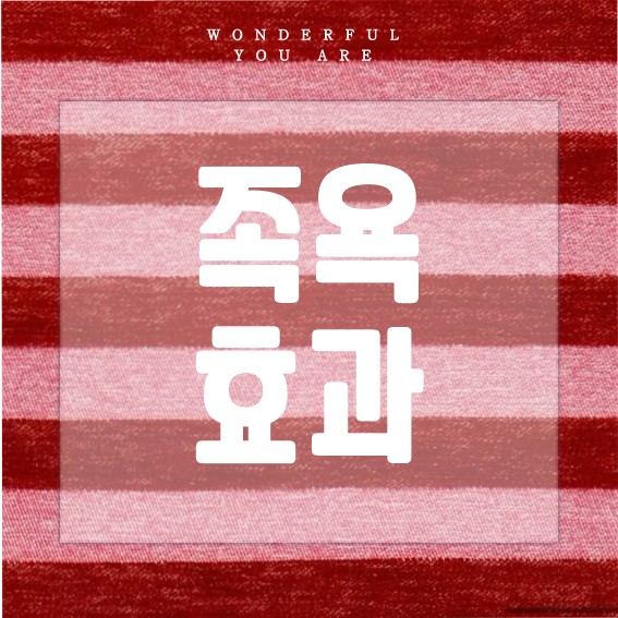 족욕 완벽 가이드: 효과와 실천 방법