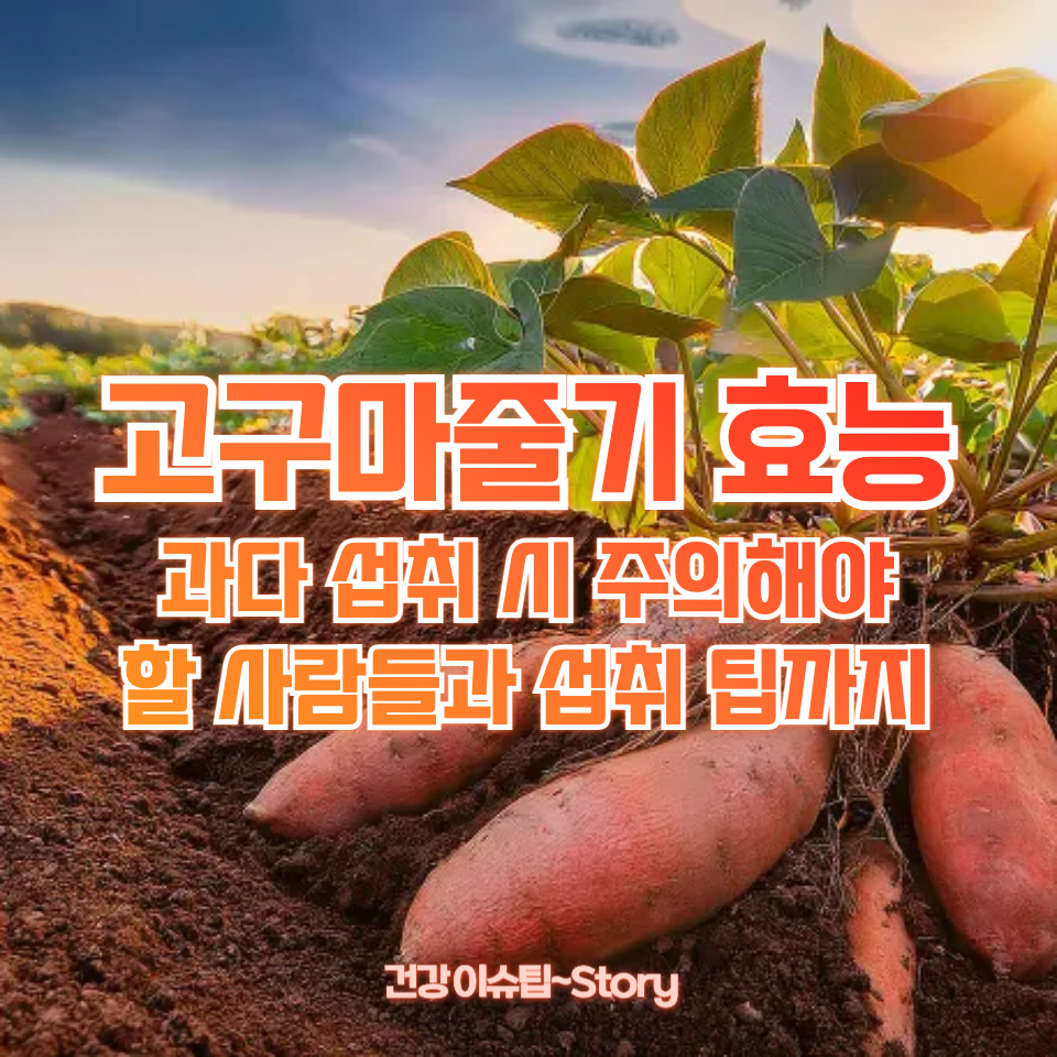 고구마줄기 효능