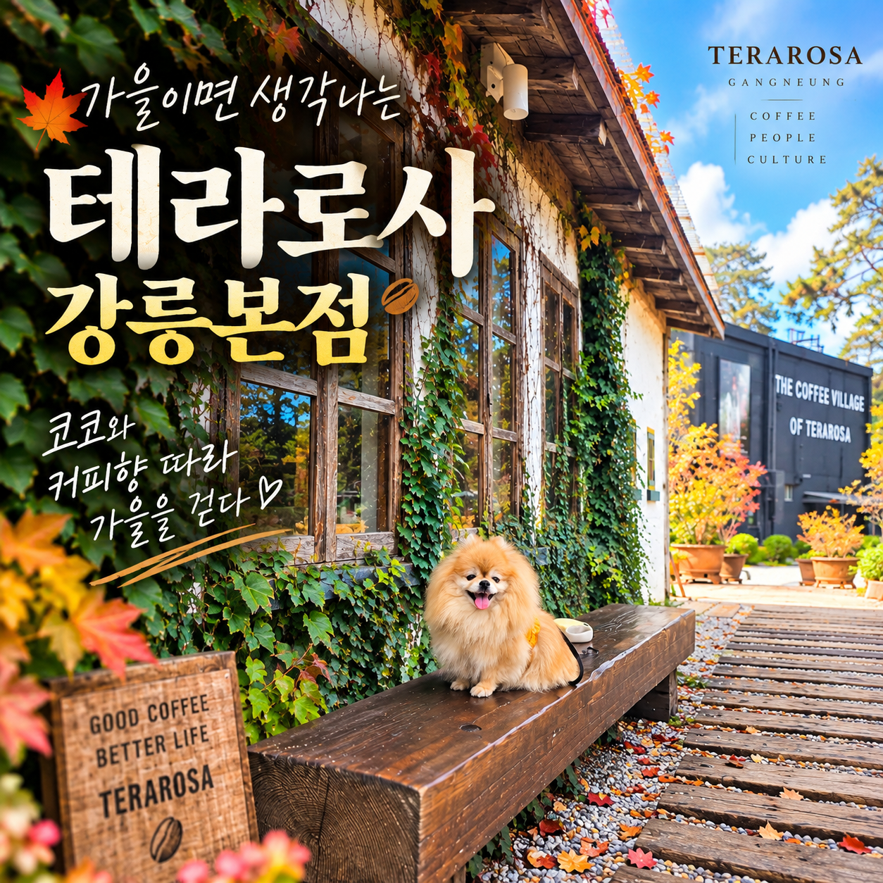 강릉 테라로사 본점 방문 후기
