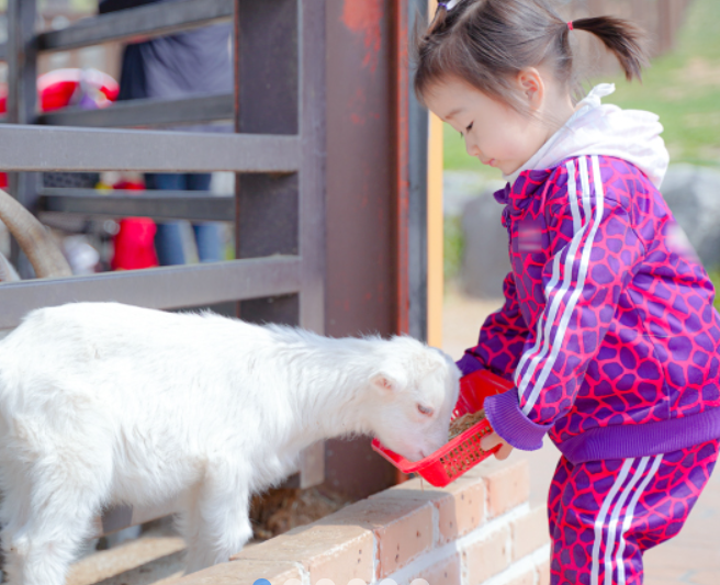 경기도가볼만한곳