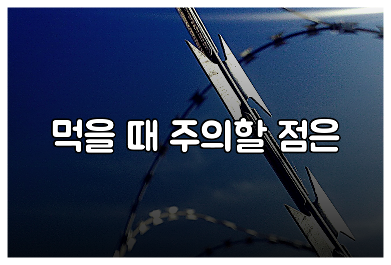 먹을 때 주의할 점은