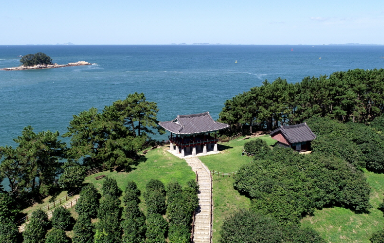 마량리 동백나무 숲