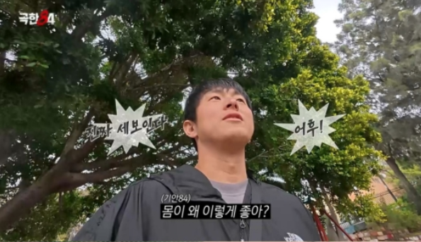 극한84