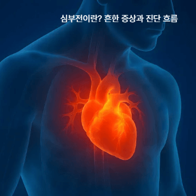 심부전 검사와 치료 비용 총정리｜보험 적용&middot;실손 청구 방법 (2025)