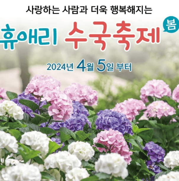 휴애리 봄 수국 축제