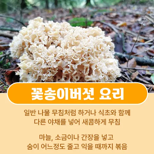 꽃송이버섯 요리