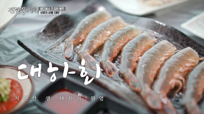 전현무계획3-보령-대하회