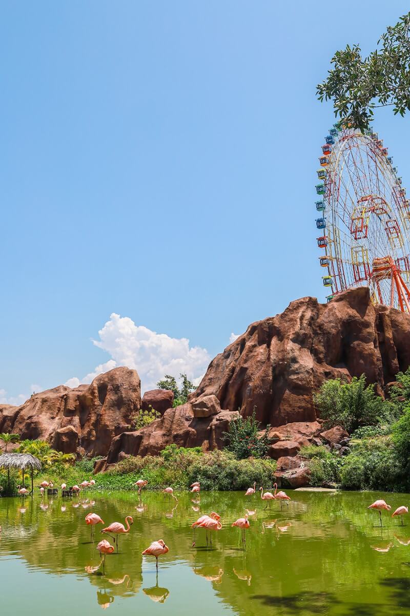 나트랑 관광 명소 나트랑 빈펄랜드 다낭 빈펄랜드 빈펄랜드 나트랑 푸꾸옥 빈펄랜드 빈펄랜드 다낭 베트남 빈펄랜드 호이안 빈펄랜드 빈펄랜드 입장권 나트랑 빈펄랜드 입장권 빈펄랜드 푸꾸옥 빈펄랜드 워터파크 나트랑 빈펄랜드 식당 빈펄랜드 선착장 빈펄랜드 놀이기구 빈펄랜드 호이안 빈펄리조트 빈펄리조트 나트랑 빈펄 빈폴랜드 빈펄랜드 식당 나트론 호수 홍학 나트랑 포홍 나트랑 호텔 추천 나트랑호텔