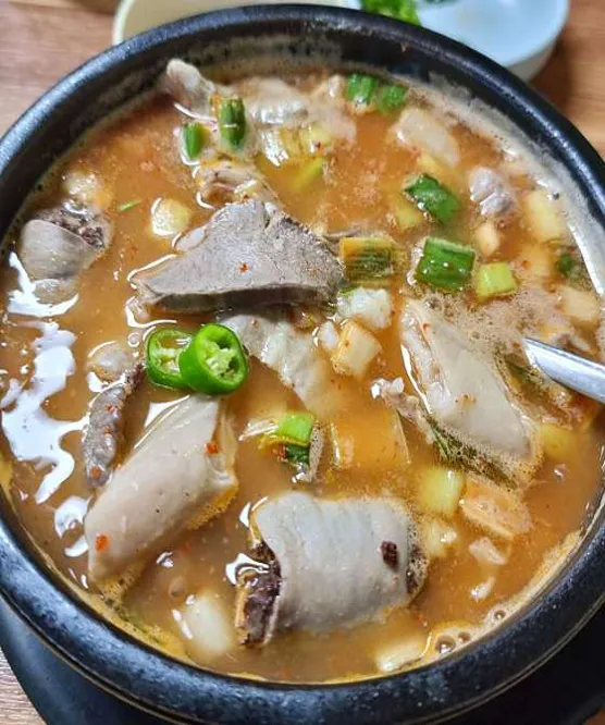 개미집