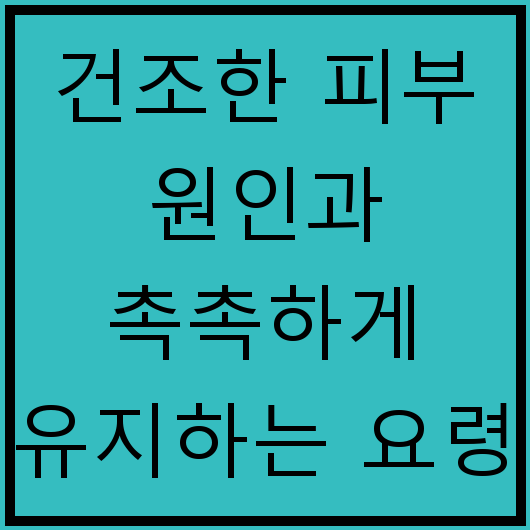 건조한 피부 원인과 촉촉하게 유지하는 요령
