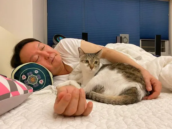 윤석열 유기묘 미담