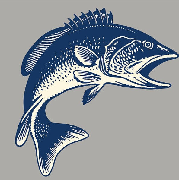 물고기 잡는 꿈