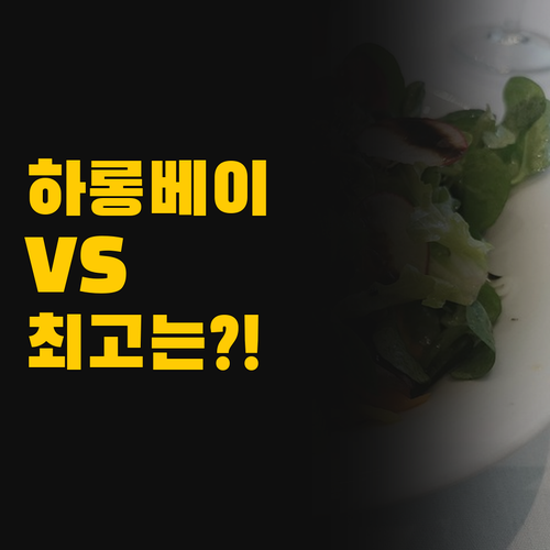 아 라 카르트 하롱베이 vs 윈덤 가..
