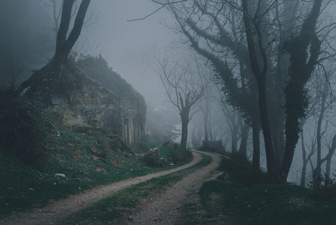 Ruins