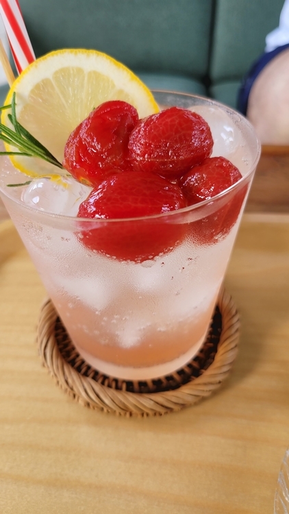 제주동쪽여행-감성카페-카페치즈태비-엘더플라워