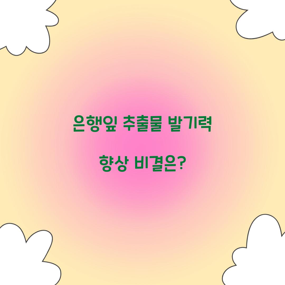 은행잎 추출물 발기력