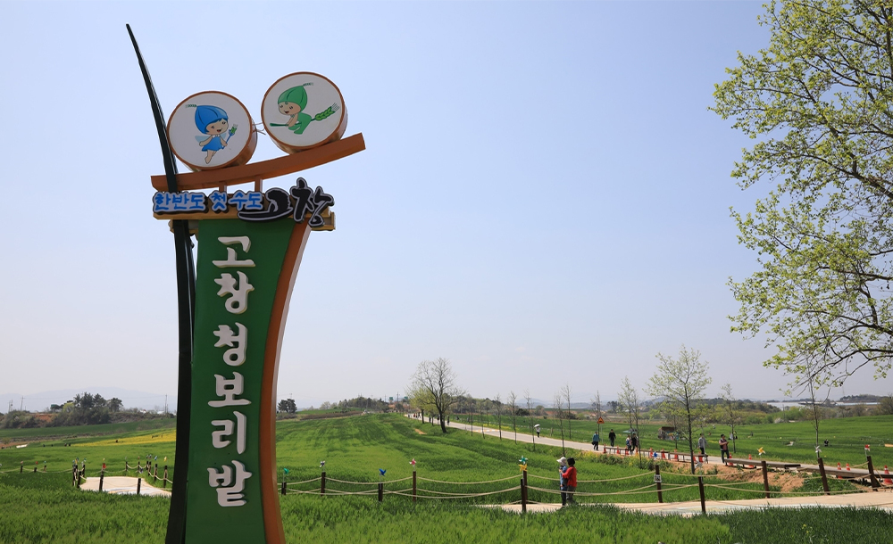 고창 청보리밭