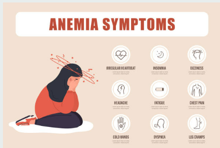 빈혈에 좋은 음식