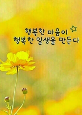 행복한 마음