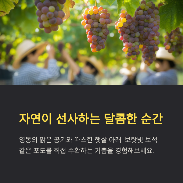 자연이 선사하는 달콤한 순간