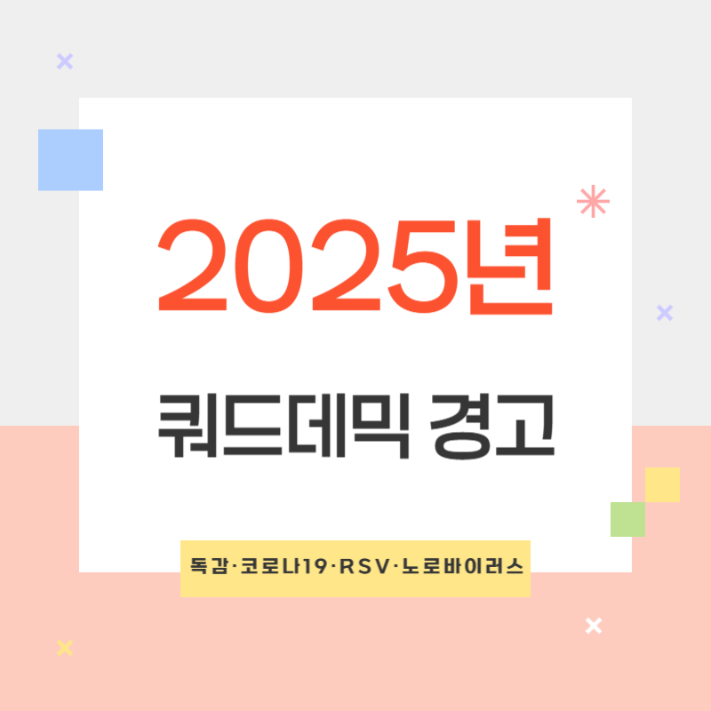 2025 쿼드데믹 경고: 독감&middot;코로나19&middot;RSV&middot;노로바이러스
