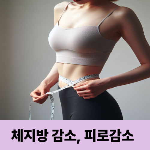 운동 효과 2배