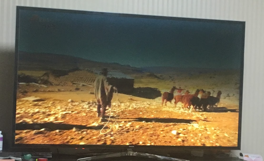 백라이트 LED 고장 증상