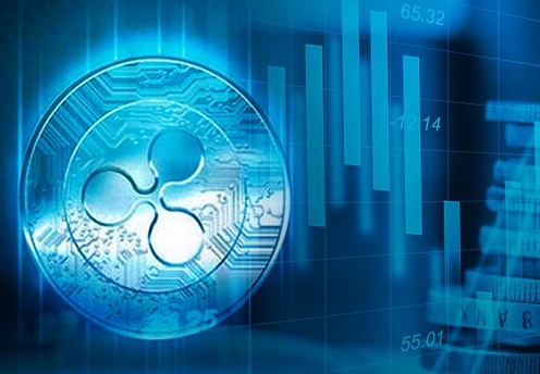 리플(XRP) 2024년 가격 분석 상승 요인과 리스크 정리