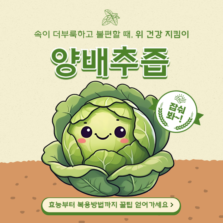 양배추즙의 효능 복용방법 완벽정리