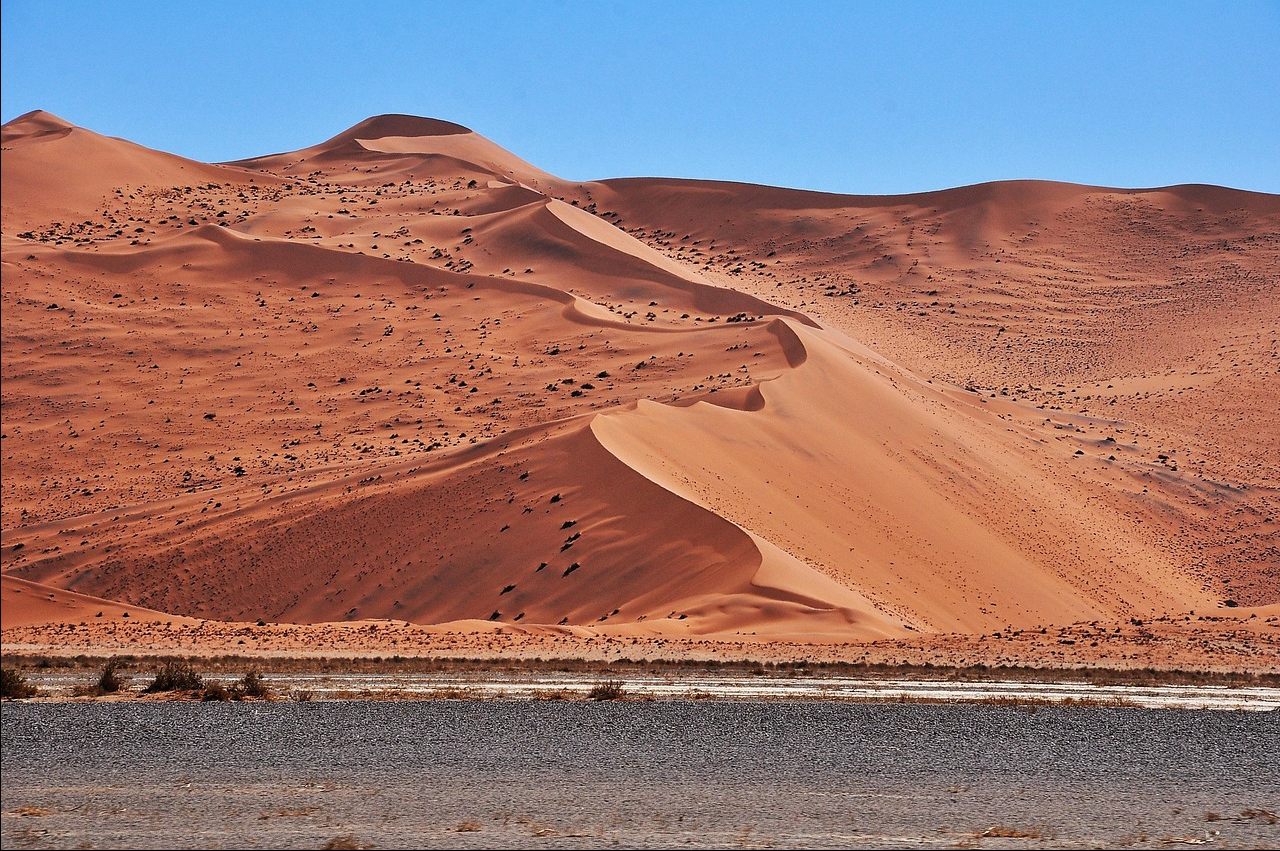 아프리카 나미브 사막(Namib Desert) 관련 사진