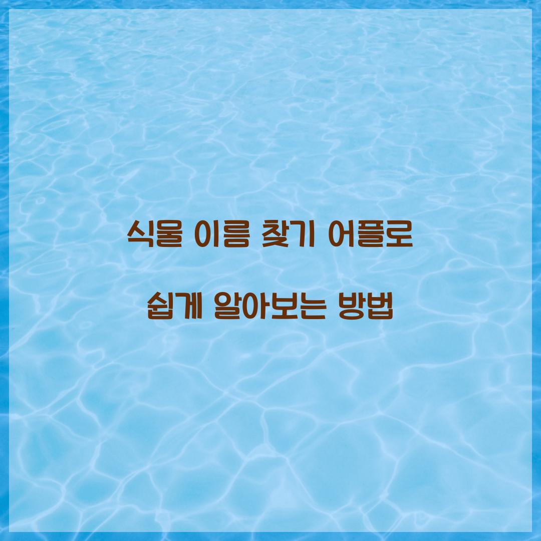 식물 이름 찾기 어플