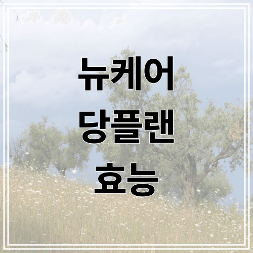 뉴케어 당플랜 효능