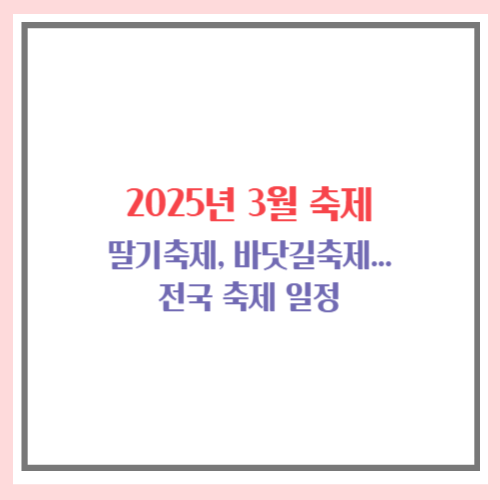 2025년 3월 축제