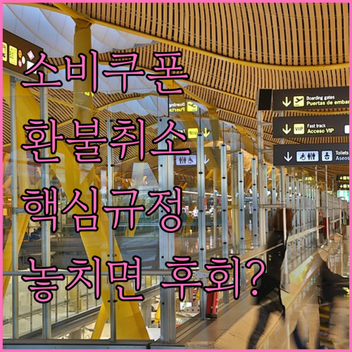 소비쿠폰 2차 환불 취소 규정 및 유..