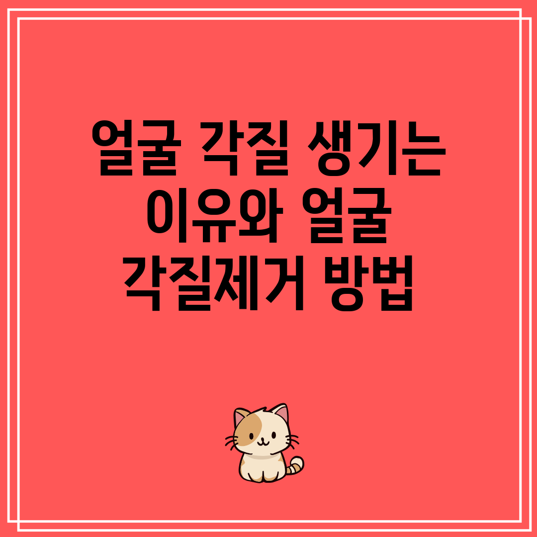 얼굴 각질 생기는 이유와 얼굴 각질제거 방법