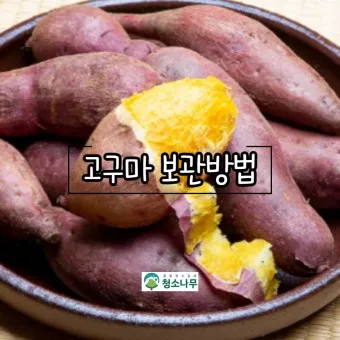 고구마 삶는법 맛있게 황금레시피 효능 칼로리_11