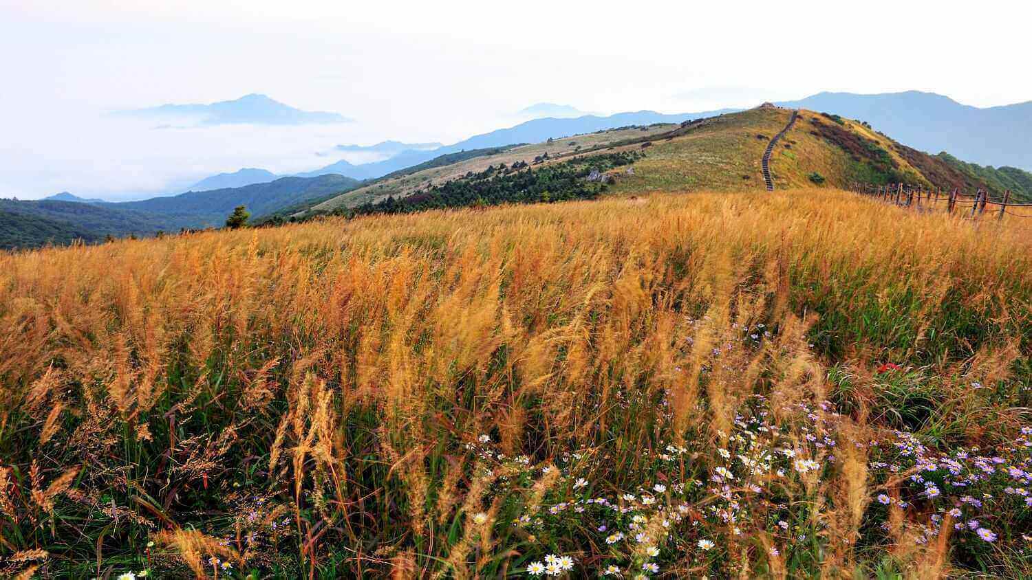 소백산 (사진출처:경북나드리)