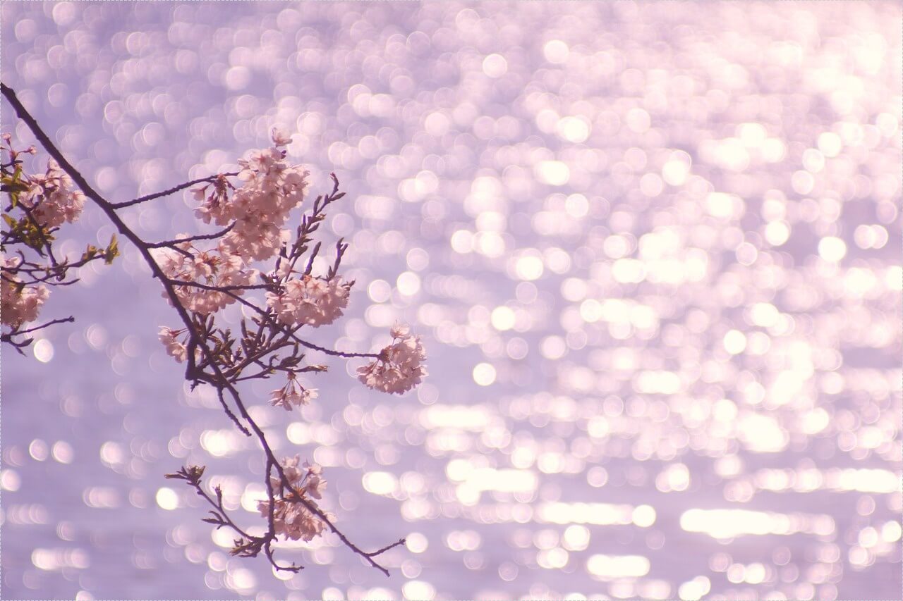 저축은행 정기예금 금리비교