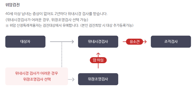 암 검진 항목 (추가 선택 항목)