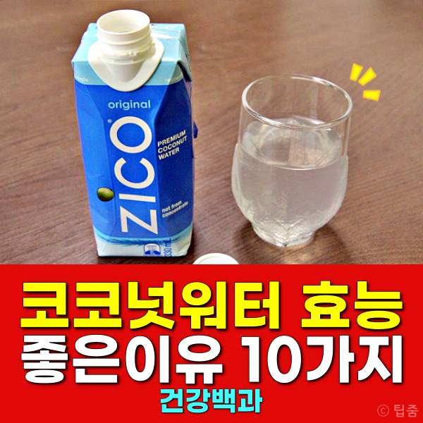 코코넛워터 효능 코코넛워터다이어트