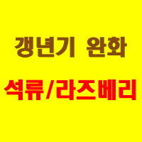 갱년기에좋은음식석류라즈베리