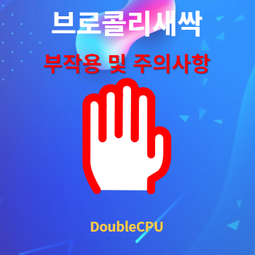 브로콜리새싹 부작용 및 주의사항