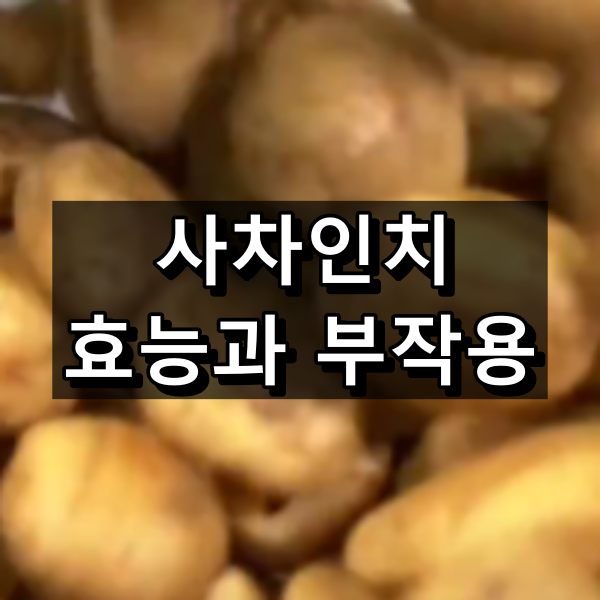 사차인치의 효능과 부작용