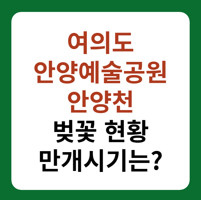 여의도, 안양예술공원, 안양천 벚꽃 현황 썸네일 이미지